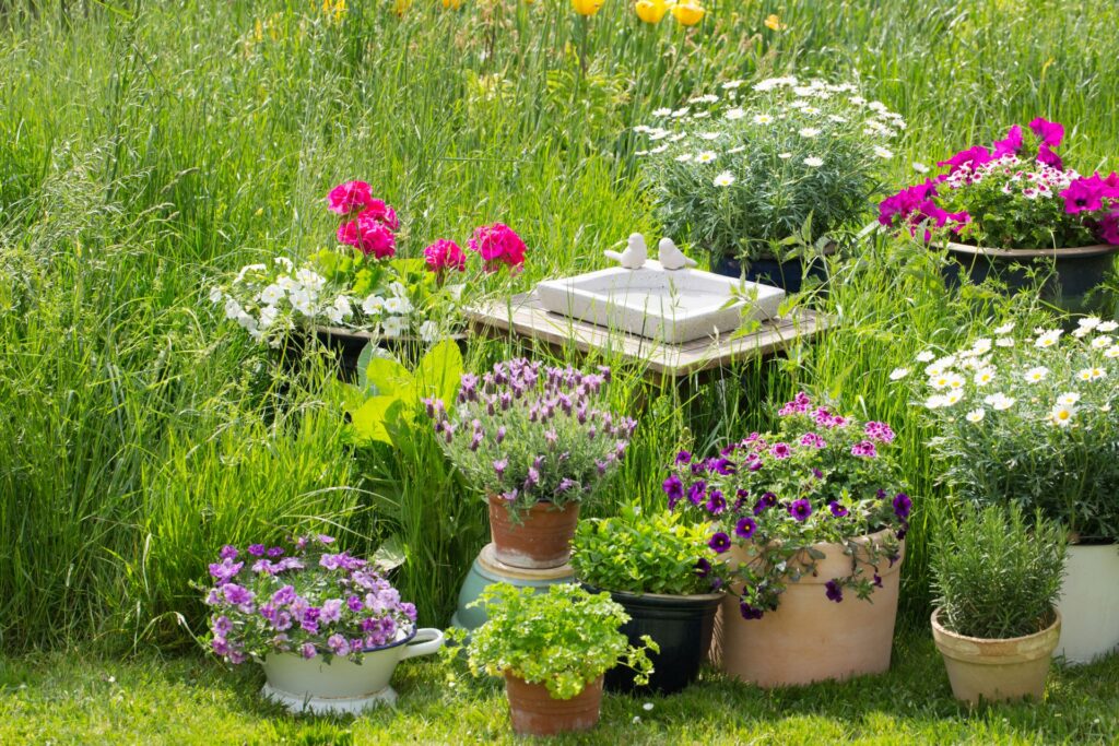 Vogeltraenke aus Stein umgeben von bunten Blumen in einem naturnahen Garten
